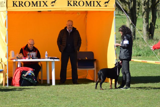 Linå lørdag 2015