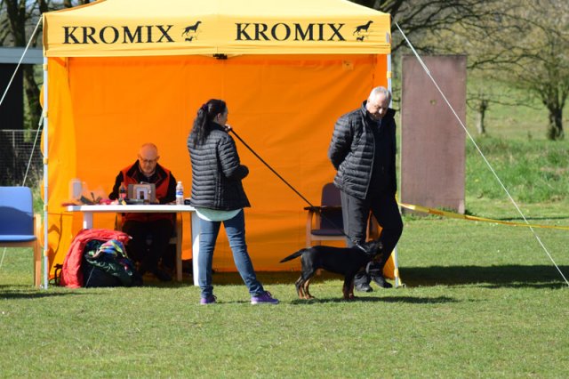 Linå lørdag 2015