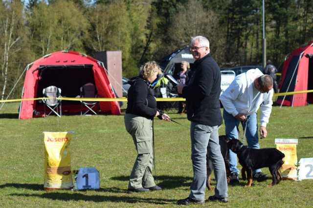 Linå lørdag 2015