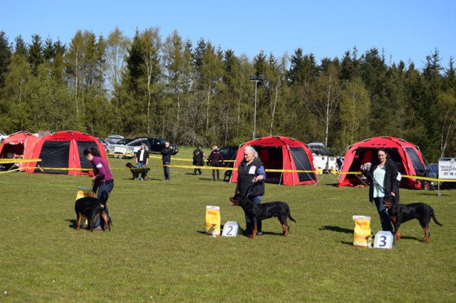 Linå lørdag 2015