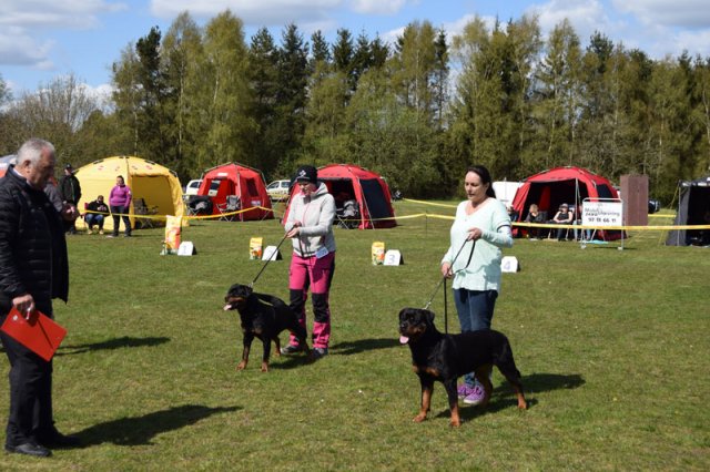 Linå lørdag 2015
