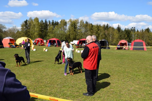 Linå lørdag 2015