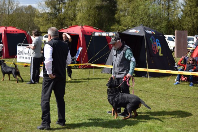 Linå lørdag 2015