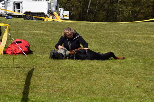 Linå lørdag 2015