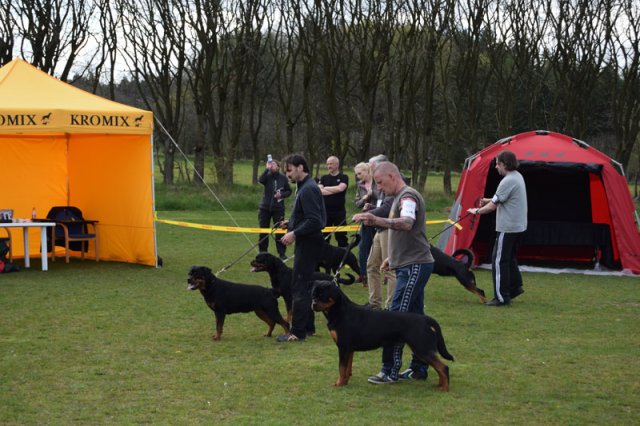 Linå lørdag 2015