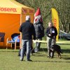 Linå lørdag 2015