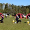 Linå lørdag 2015