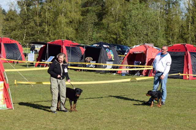 Linå søndag 2015