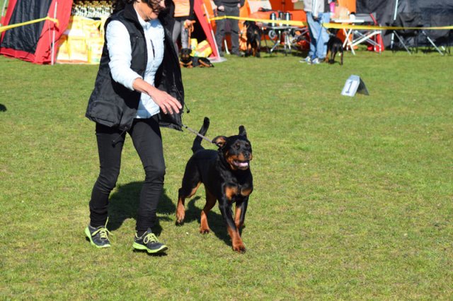 Linå søndag 2015