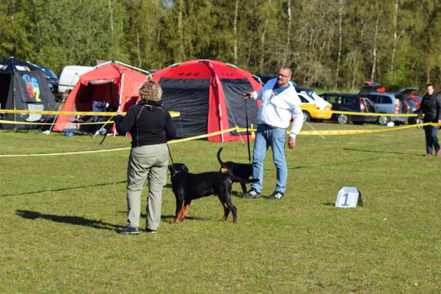 Linå søndag 2015