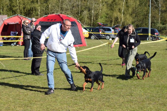 Linå søndag 2015