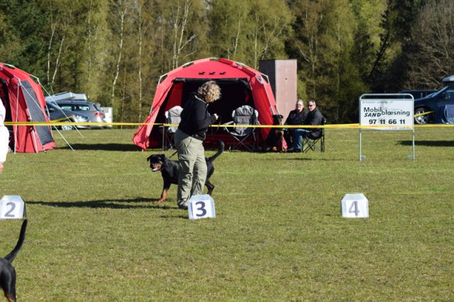 Linå søndag 2015
