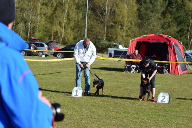 Linå søndag 2015
