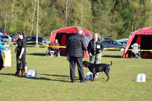 Linå søndag 2015