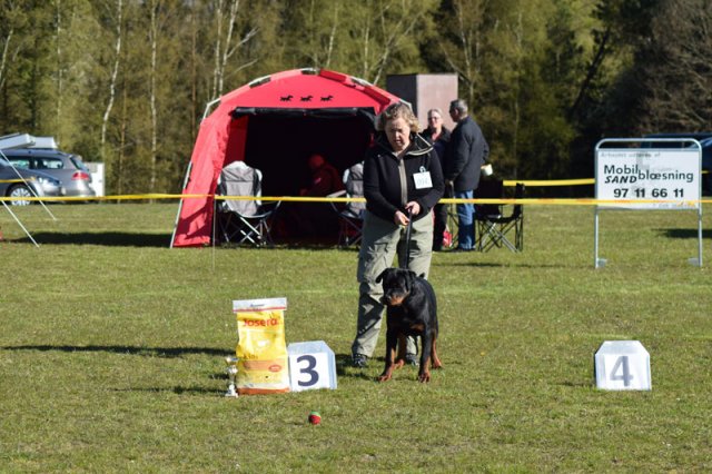 Linå søndag 2015