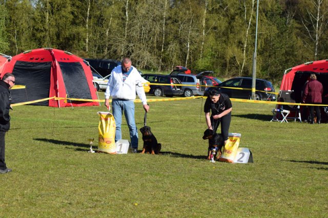 Linå søndag 2015