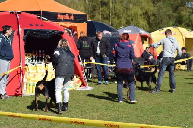 Linå søndag 2015