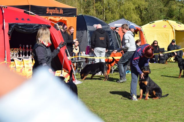 Linå søndag 2015