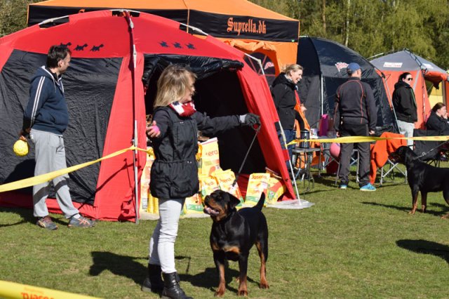 Linå søndag 2015