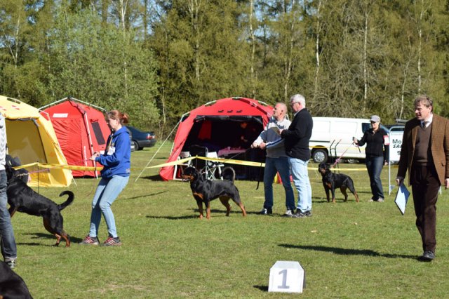 Linå søndag 2015