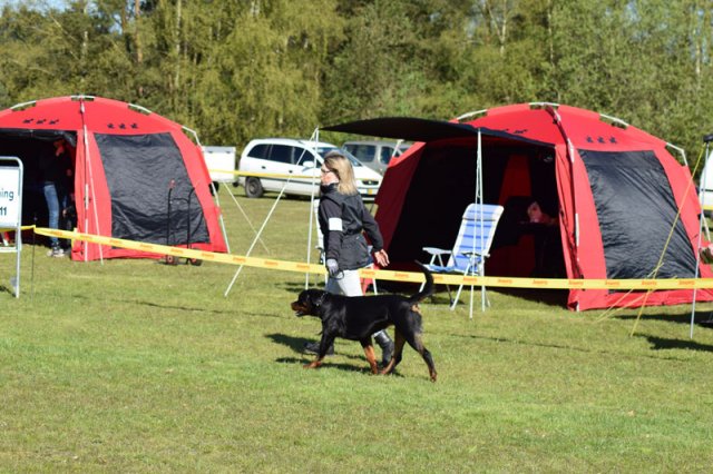 Linå søndag 2015