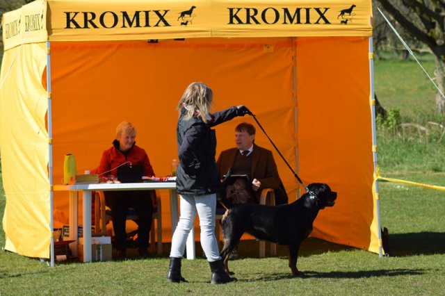 Linå søndag 2015