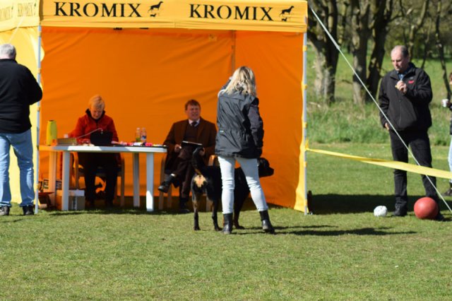Linå søndag 2015