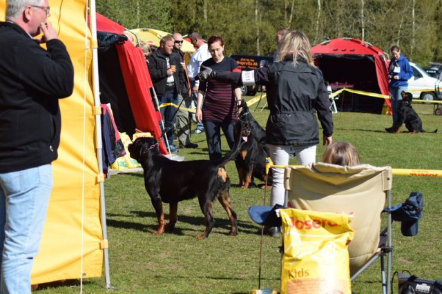 Linå søndag 2015