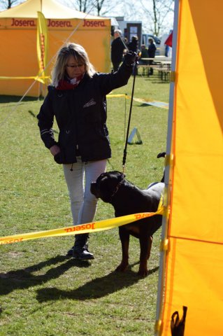 Linå søndag 2015