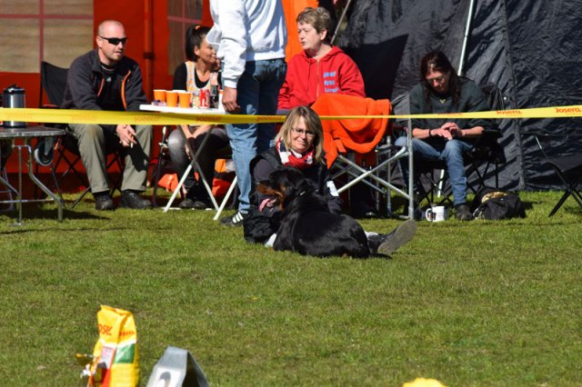 Linå søndag 2015