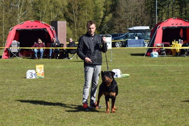 Linå søndag 2015