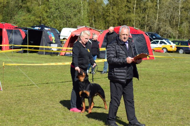 Linå søndag 2015