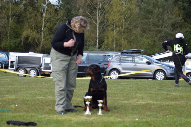 Linå søndag 2015