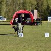 Linå søndag 2015