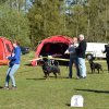 Linå søndag 2015
