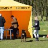 Linå søndag 2015