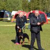 Linå søndag 2015