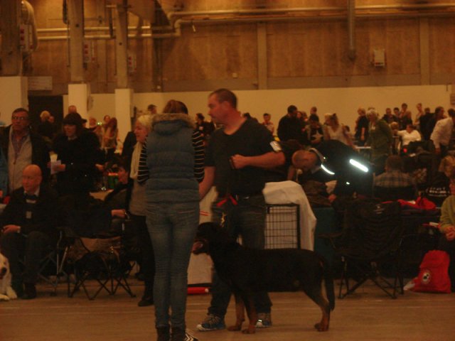 Herning Nov