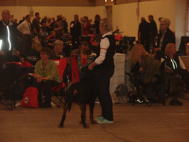 Herning Nov
