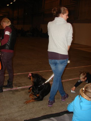 Herning Nov