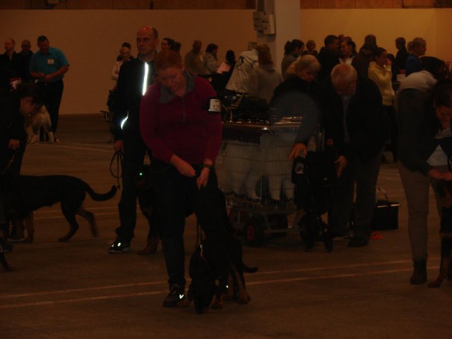 Herning Nov