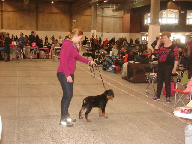 Herning Nov