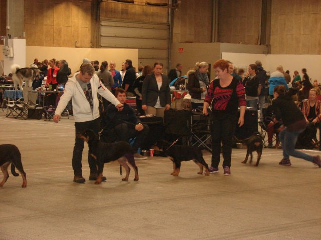 Herning Nov
