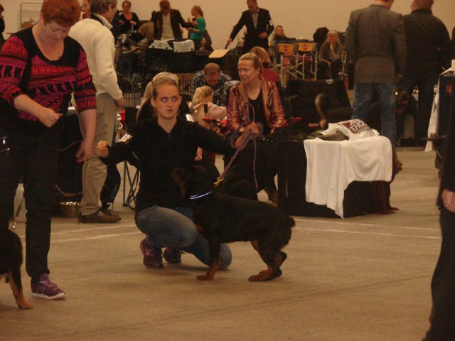 Herning Nov