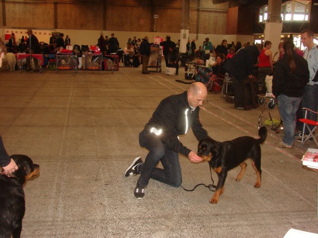 Herning Nov