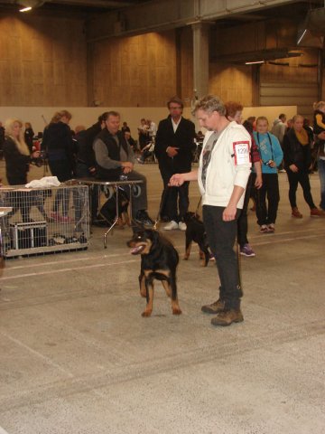 Herning Nov