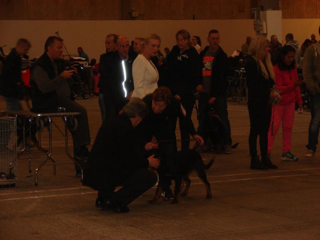 Herning Nov