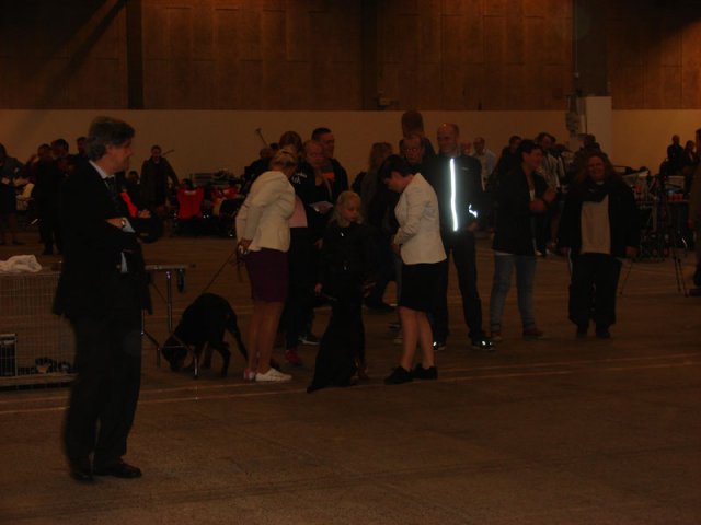 Herning Nov