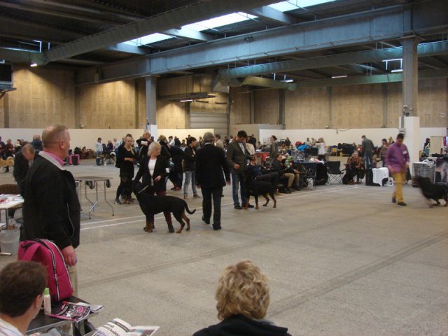 Herning Nov