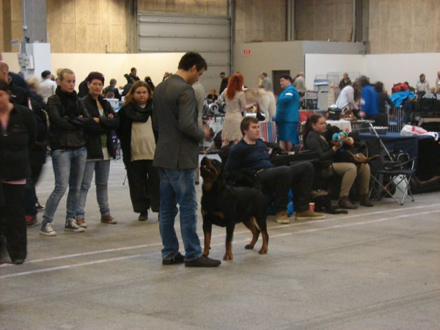 Herning Nov
